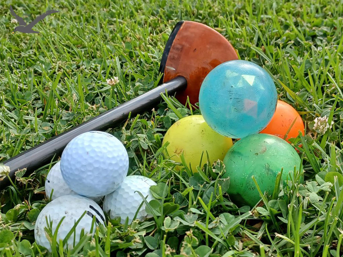 Parkeko golf bolak aniztasuna